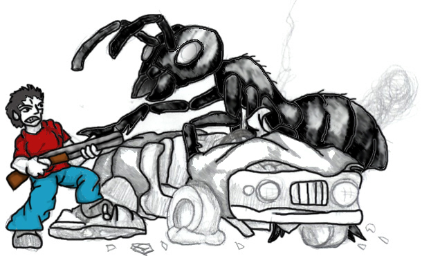 Invasione di formiche: come difendersi