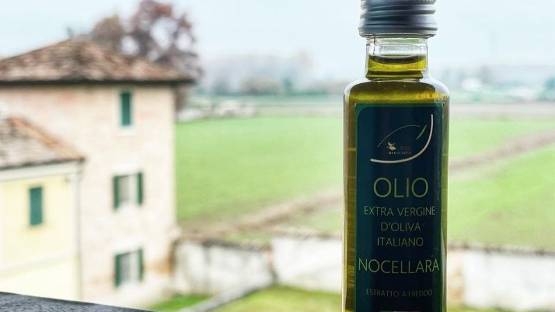 L’Olio d’Oliva, appassionatamente naturale e biologico, secondo l’azienda agricola Bianchini tra tradizione e futuro… 