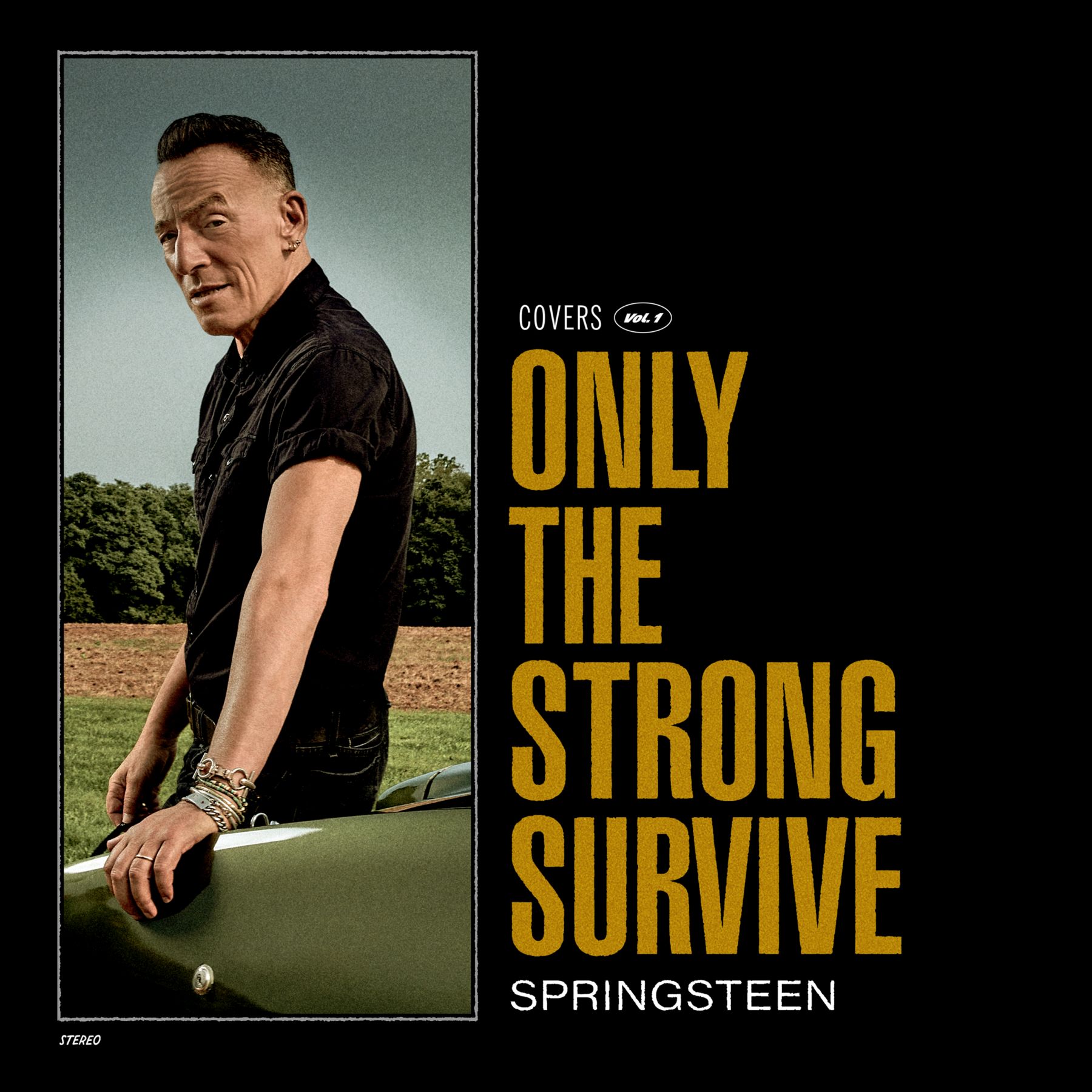 Only The Strong Survive, esce l’11 novembre il nuovo disco di Bruce Springsteen, 15 successi soul rivisti dal Boss