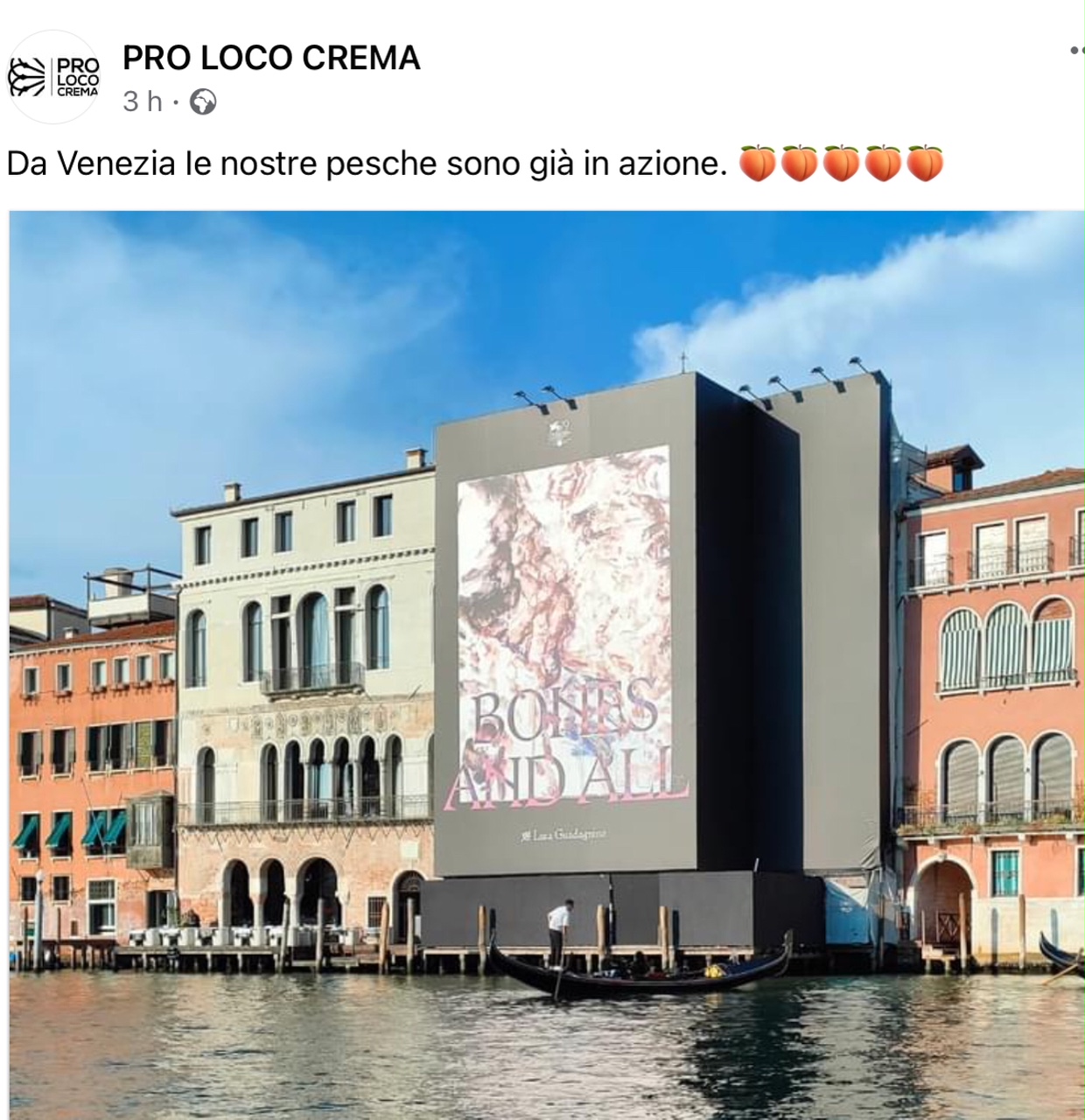 Luca Guadagnino e Timothee Chamalat, regista e attore del filmone un po’ cremasco Chiamami col tuo nome a Venezia con Bones And All