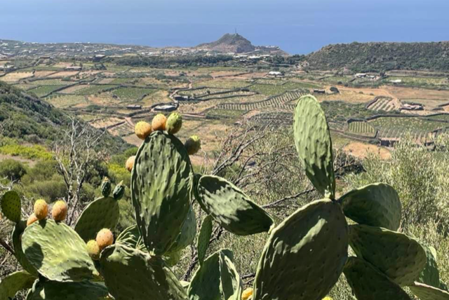 Alex Corlazzoli: “Pantelleria è bellissima, ma si è venduta l’anima ai fighetti”