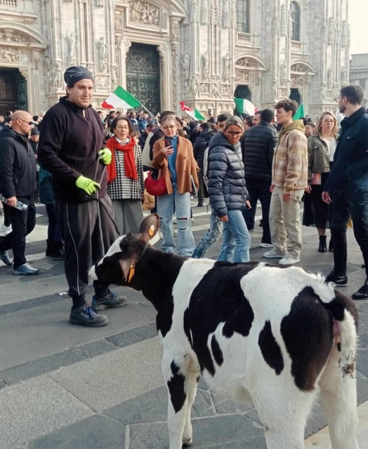 Un lodigiano porta in piazza Duomo a Milano la protesta del mondo agricolo. E gli agricoltori (a Sanremo dal perito agrario Amadeus) nostrani non faranno nulla di folcloristico? 