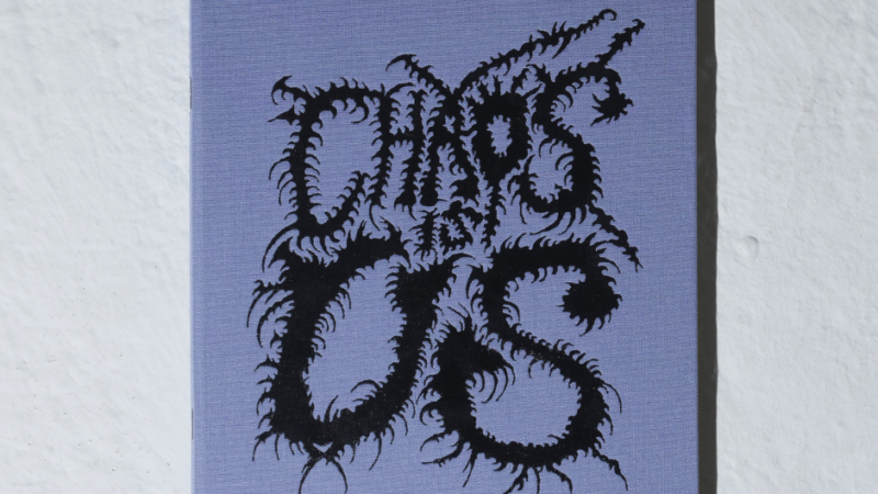 “Chaos Is Ud”, uno scatto alla furia corale del punk, uscito ollibro fotografico di Oni Bakuu
